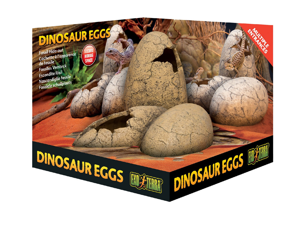 Exo Terra Dinosaur Eggs 