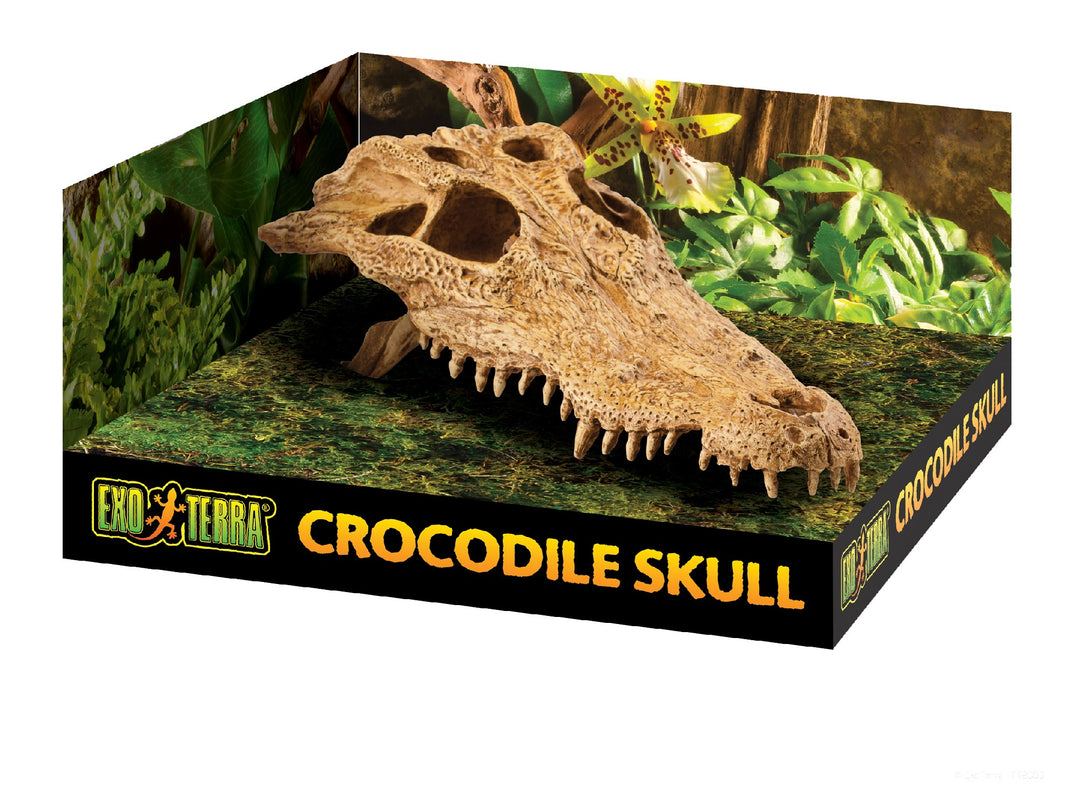 Exo Terra Crocodile Skull 