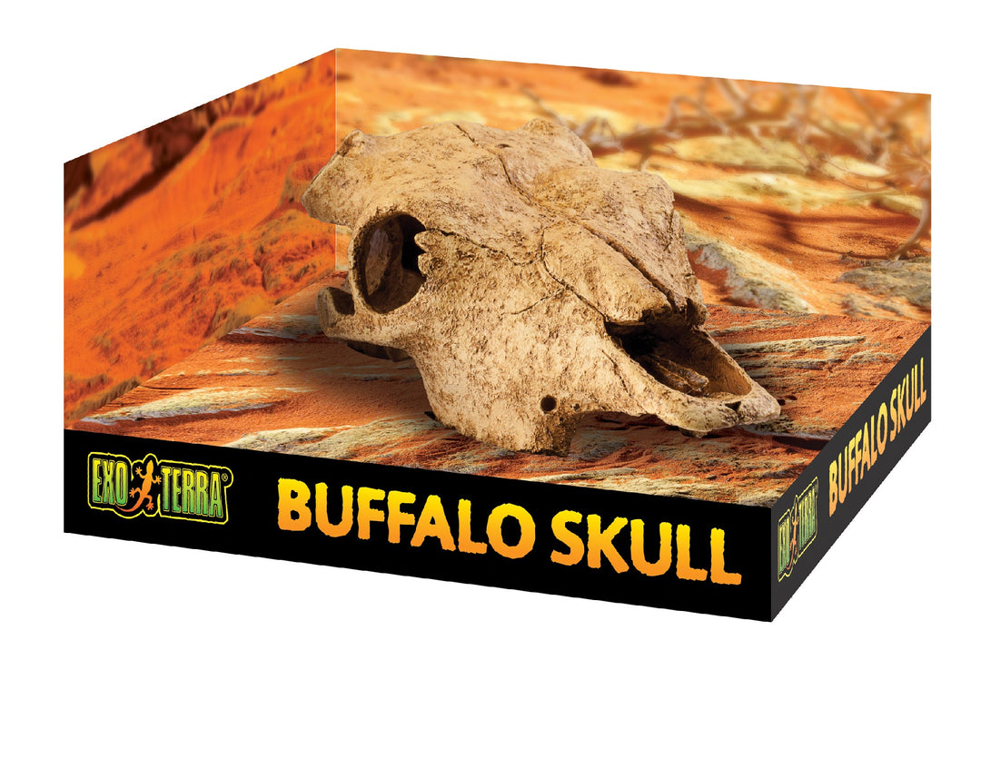 Exo Terra Buffalo Skull 