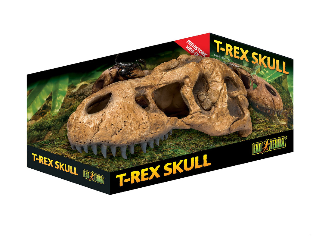 Exo Terra T-rex Skull