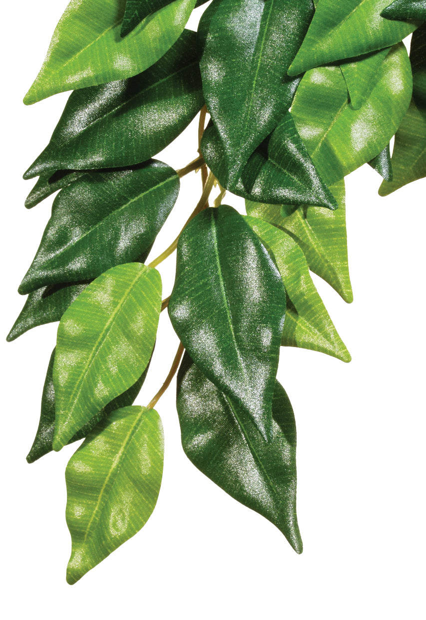 Exo Terra Plants Forest Ficus Medium