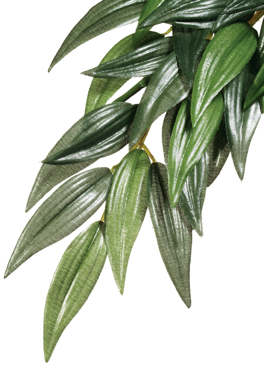 Exo Terra Plants Forest Ruscus Medium