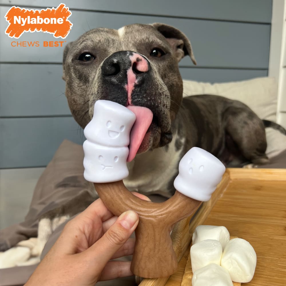 Nylabone Strong Chew Stick With Toasted Marshmallow Giant 