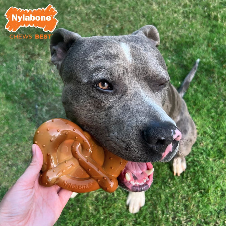 Nylabone Power Chew Pretzel Souper Bacon & Peanut Butter