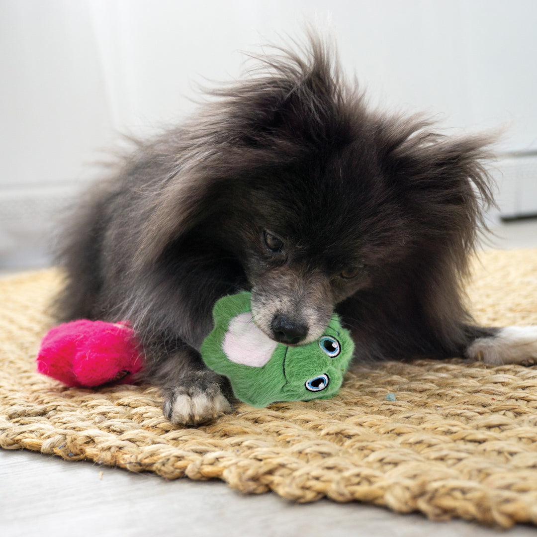 Kong Mini Snuzzles Frog Xs