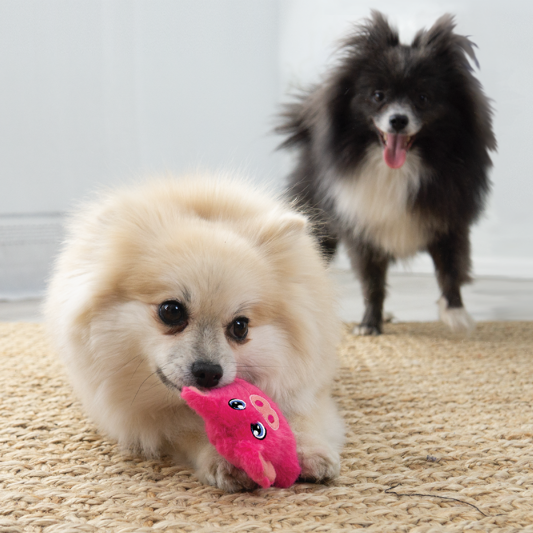 Kong Mini Snuzzles Pig Xs