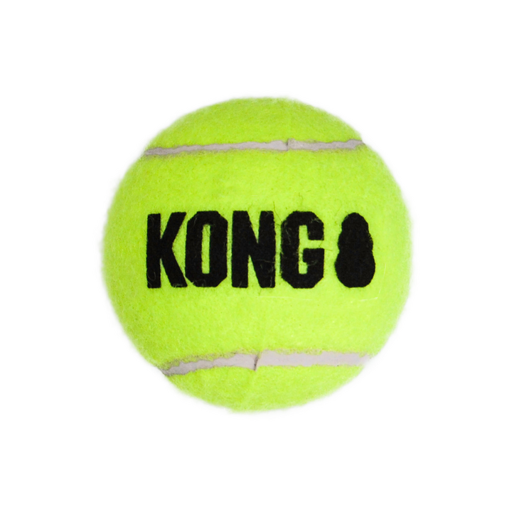 Kong Airdog Squeakair Ball Large 2pk Ast1