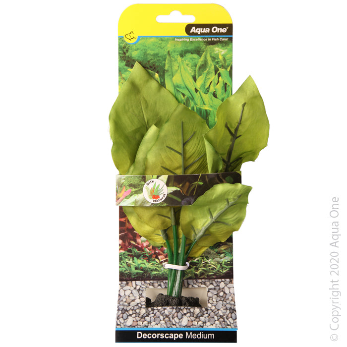 Aqua One Sword Radicans - Medium