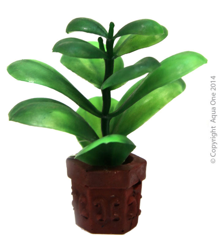 Aqua One Pot Plant Green 10cm