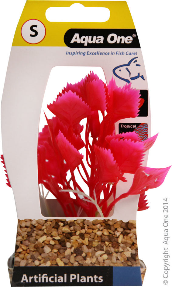 Aqua One Red Variegated Hygrophila with Log Base - Small