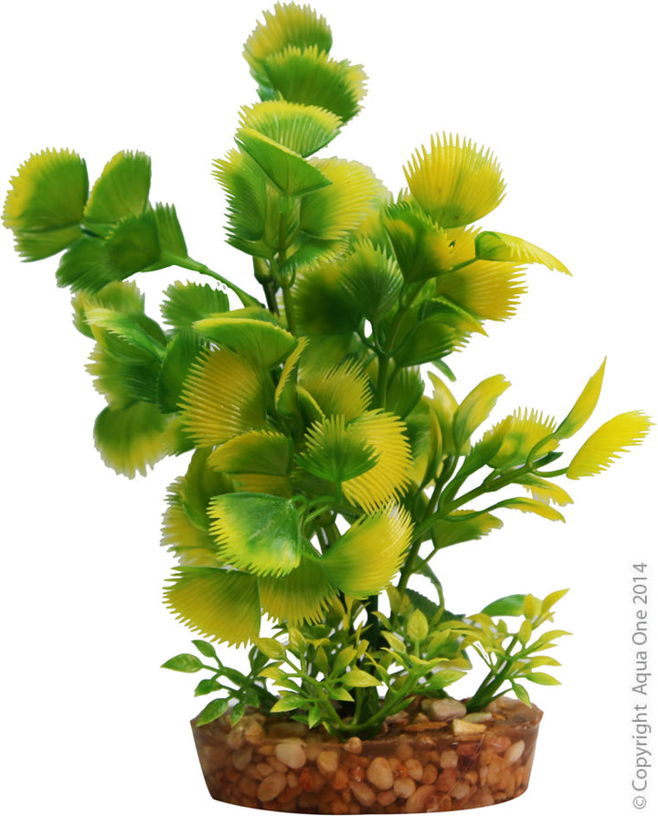 Aqua One Yellow Hottonia with Gravel Base - Medium