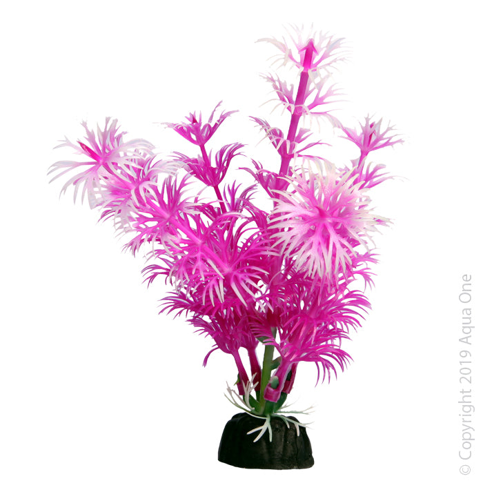 Aqua One Plants Bettascape Ambulia Pink