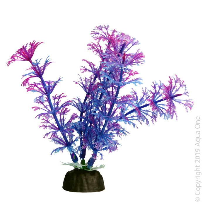 Aqua One Plants Bettascape Ambulia Purple