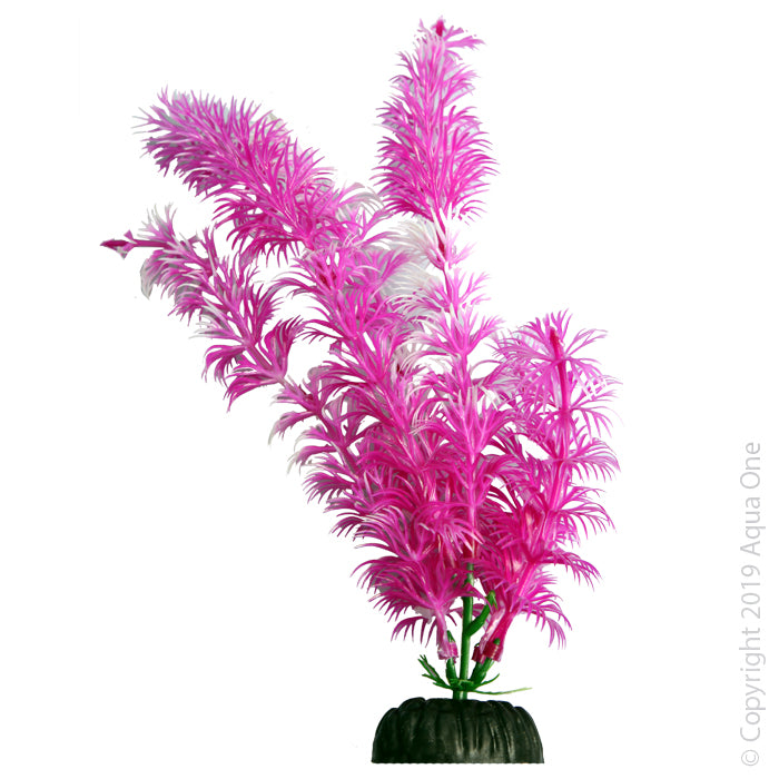 Aqua One Plants Brightscape Medium Ambulia Pink