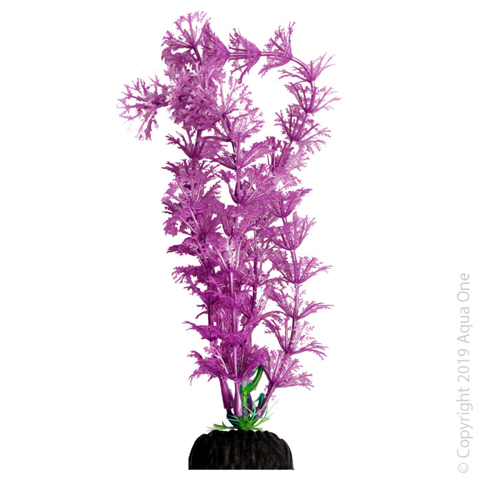 Aqua One Plants Brightscape Medium Ambulia Purple