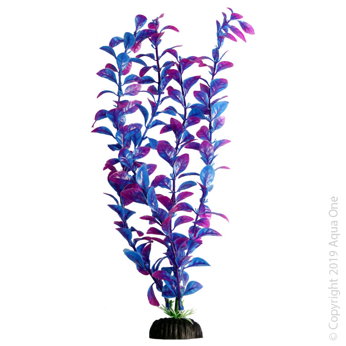 Aqua One Plants Brightscape Large Hygro Purple