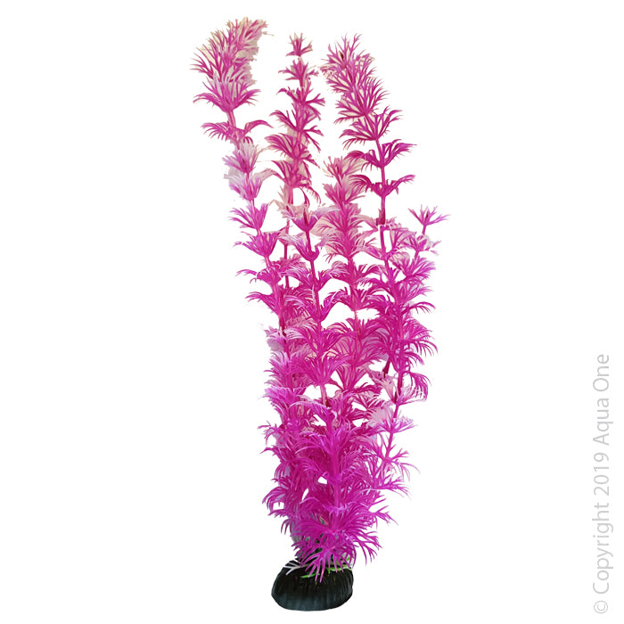 Aqua One Plants Brightscape Large Ambulia Pink