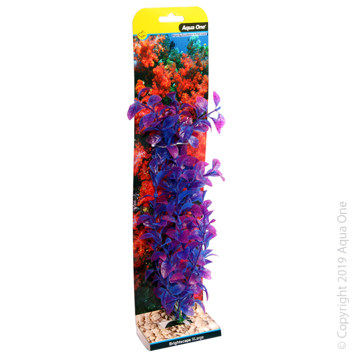 Aqua One Plants Brightscape Extra Large Hygro Purple