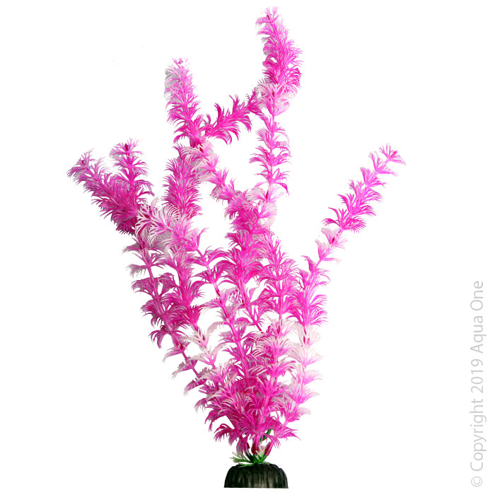 Aqua One Plants Brightscape Extra Large Ambulia Pink