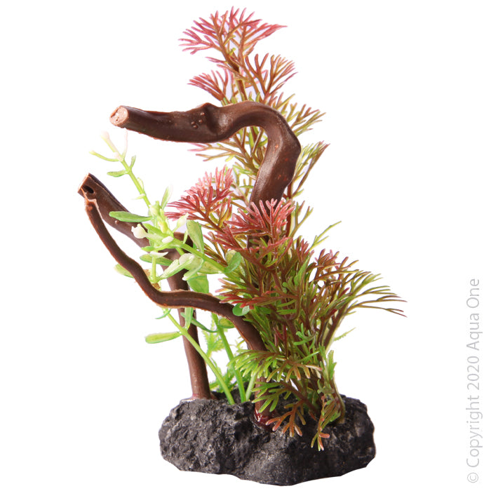 Aqua One Bettascape Mayaca Fern On Driftwood - Green