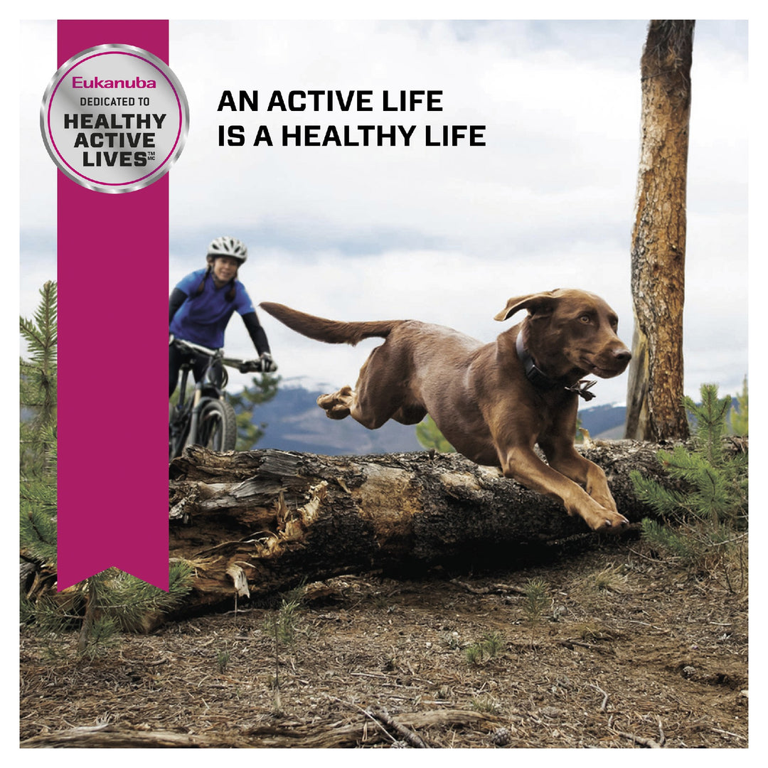 Eukanuba K9 Senior Large Breed 14kg