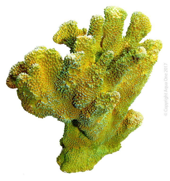 Aqua One Ornament Copi Coral Isopora Coral