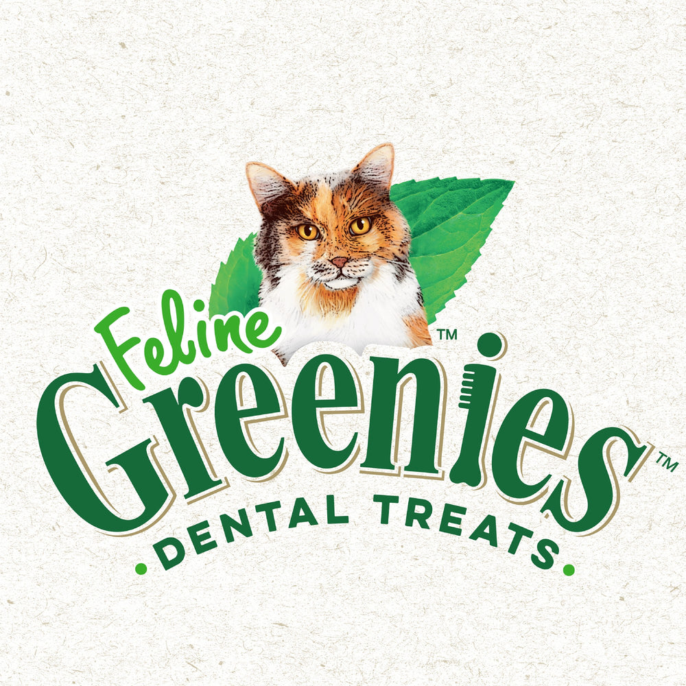 Greenies Feline Savory Shrimp 60g