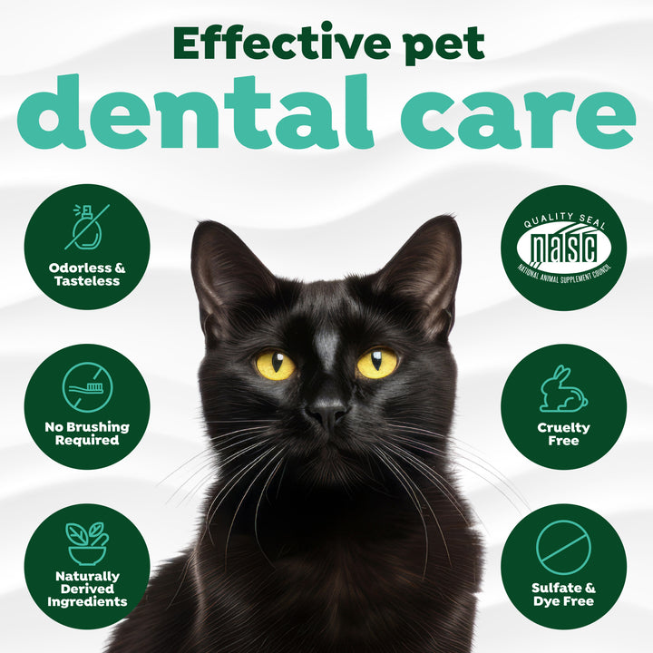Tropiclean Oral Care Water Additive For Cats 473ml