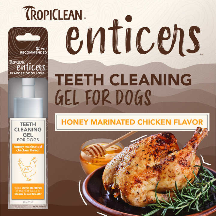 Tropiclean Enticers Teeth Gel Honey Marinated Chicken 59ml