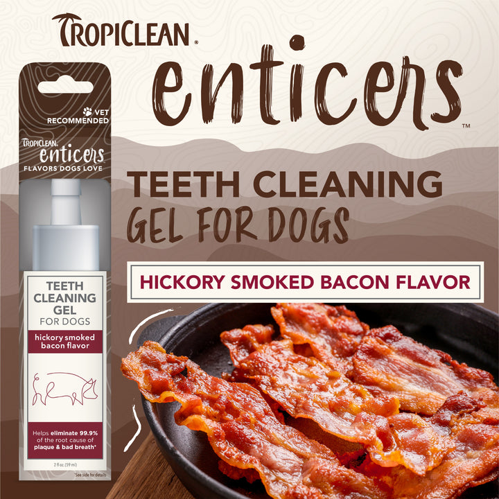 Tropiclean Clean Enticers Teeth Gel Hickory Bacon 59ml