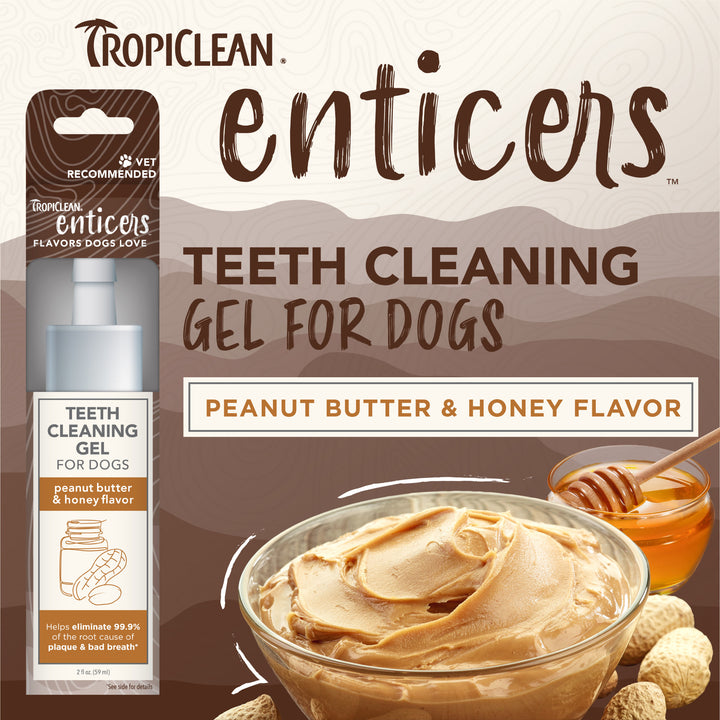 Tropiclean Enticers Teeth Gel Peanut Butter & Honey Flavour 59ml