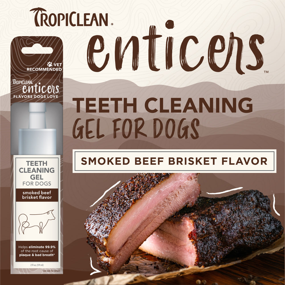 Tropiclean Enticers Teeth Gel Smoked Beef Brisket 59ml