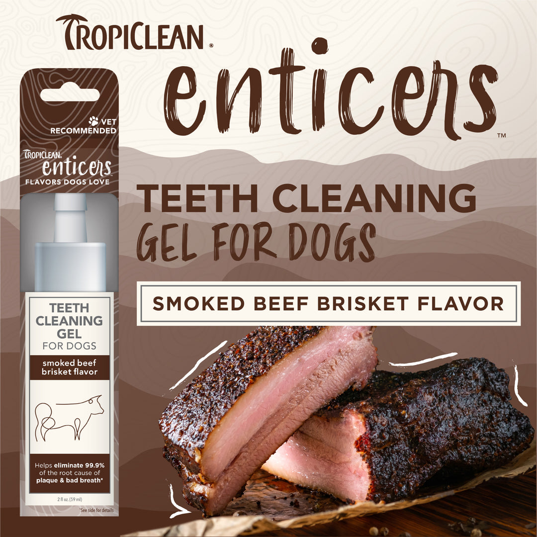 Tropiclean Enticers Teeth Gel Smoked Beef Brisket 59ml