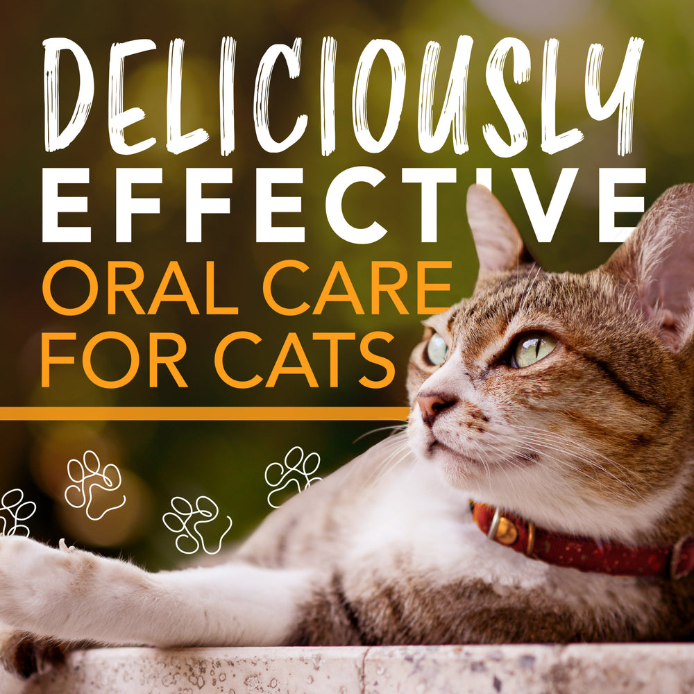 Tropiclean Enticers Teeth Gel For Cats Honey Marinated Chicken 59ml