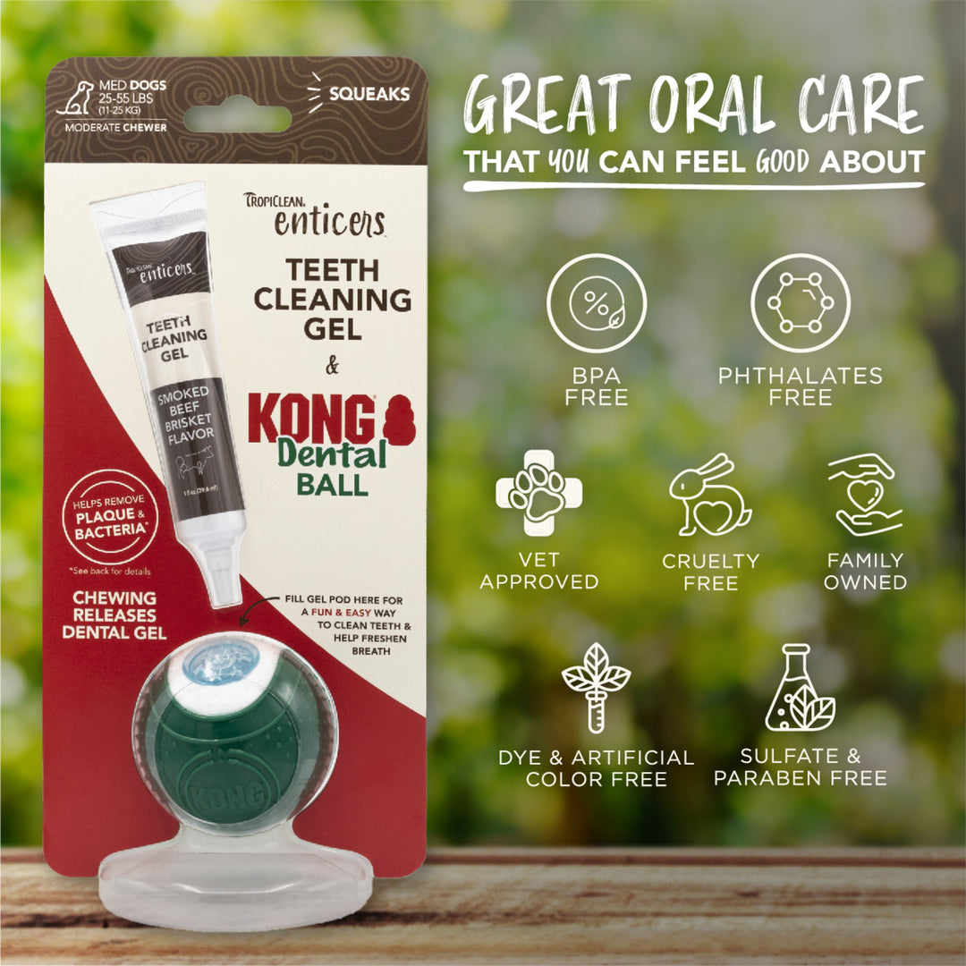 Tropiclean Clean Enticers Kong Dental Ball & Smoked Beef Brisket Gel Small