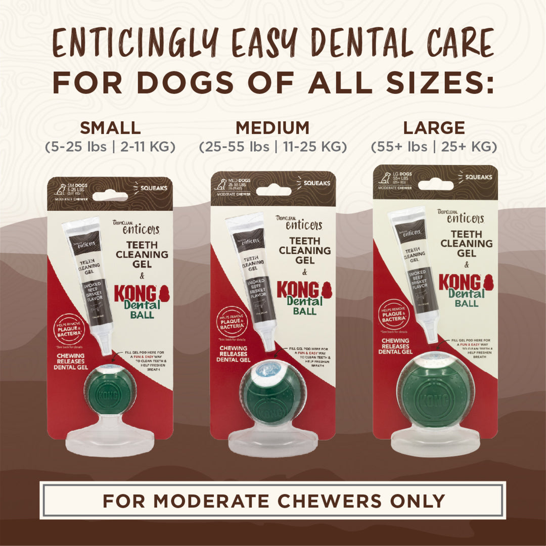 Tropiclean Clean Enticers Kong Dental Ball & Smoked Beef Brisket Gel Small