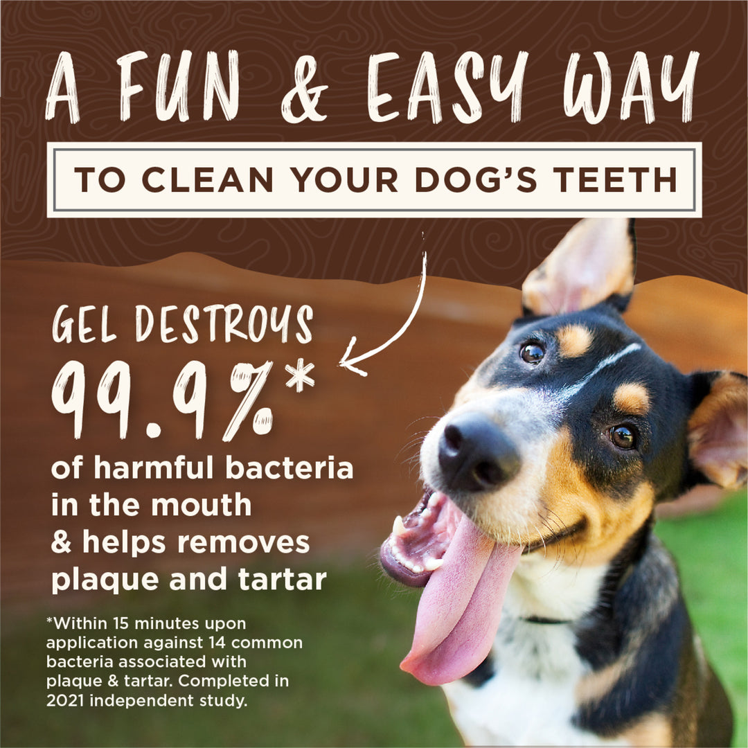 Tropiclean Clean Enticers Kong Dental Ball & Smoked Beef Brisket Gel Small