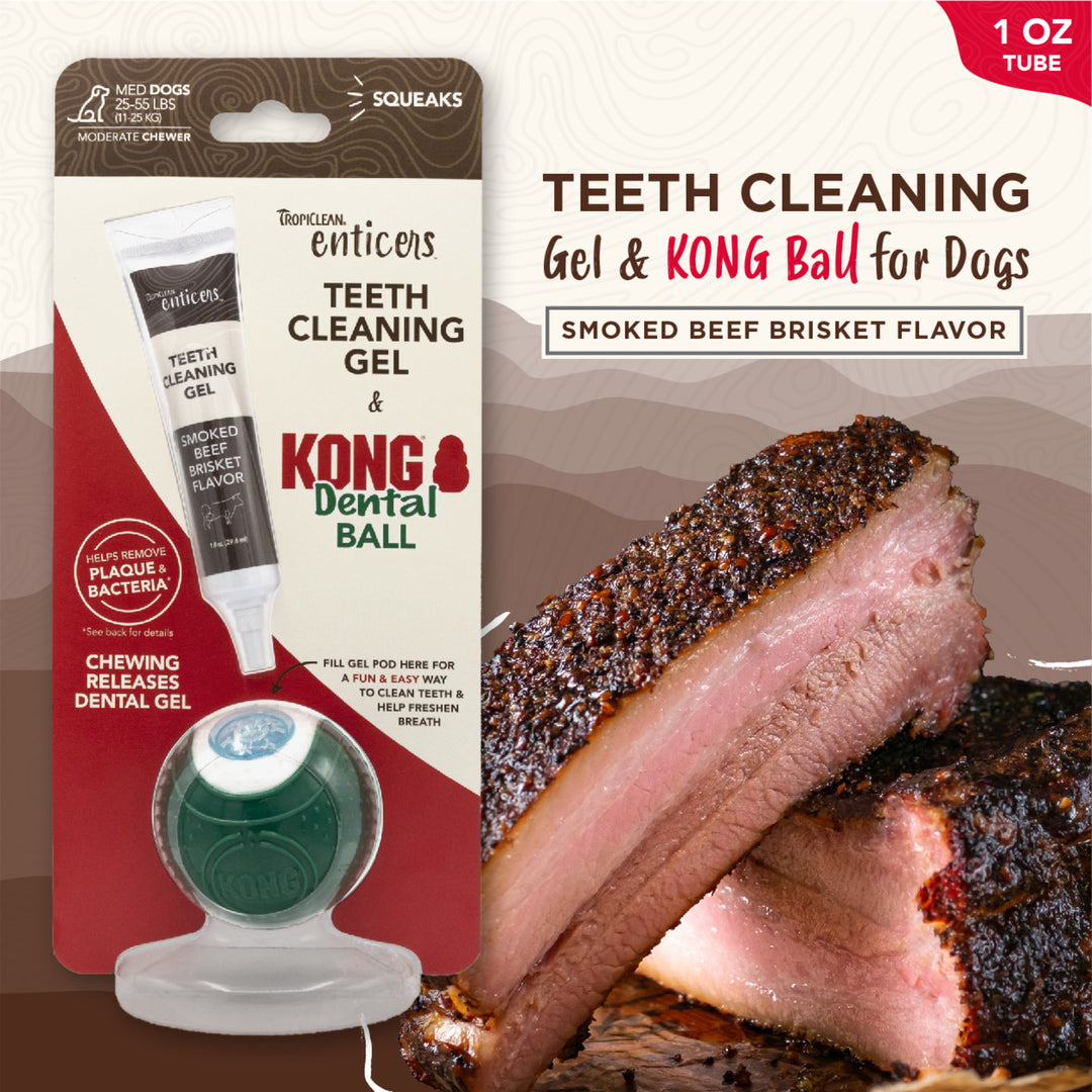 Tropiclean Clean Enticers Kong Dental Ball & Smoked Beef Brisket Gel Small