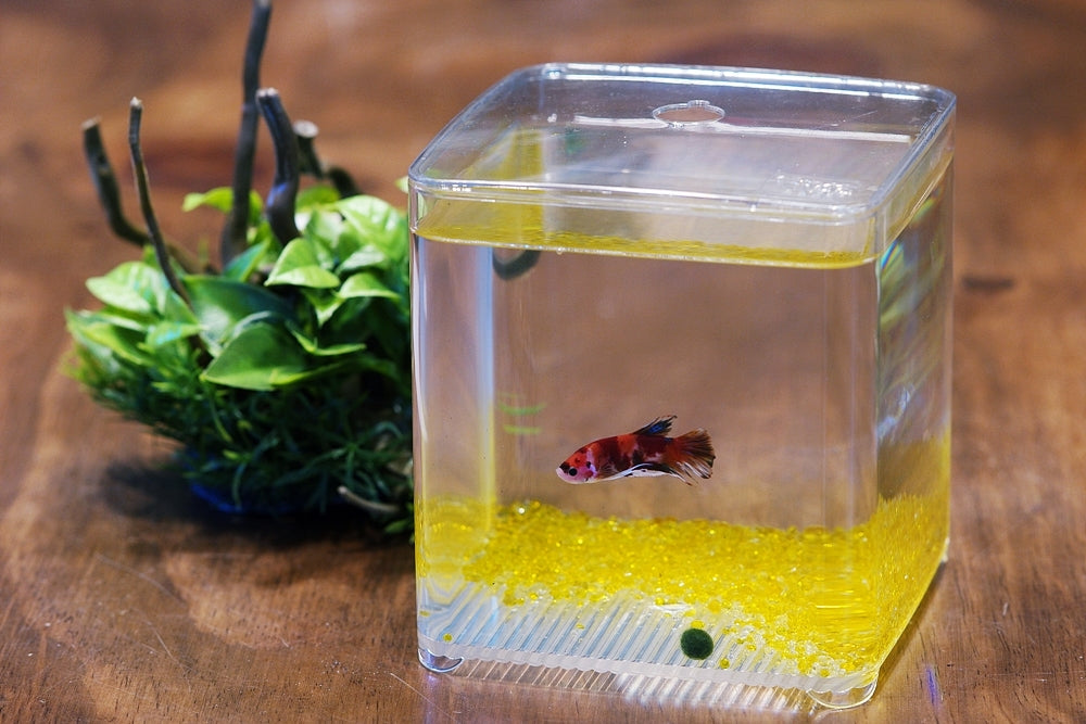 Ziss Aqua Nano Tank Zt-14