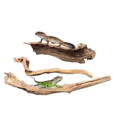 Dymax Reptile Log Large