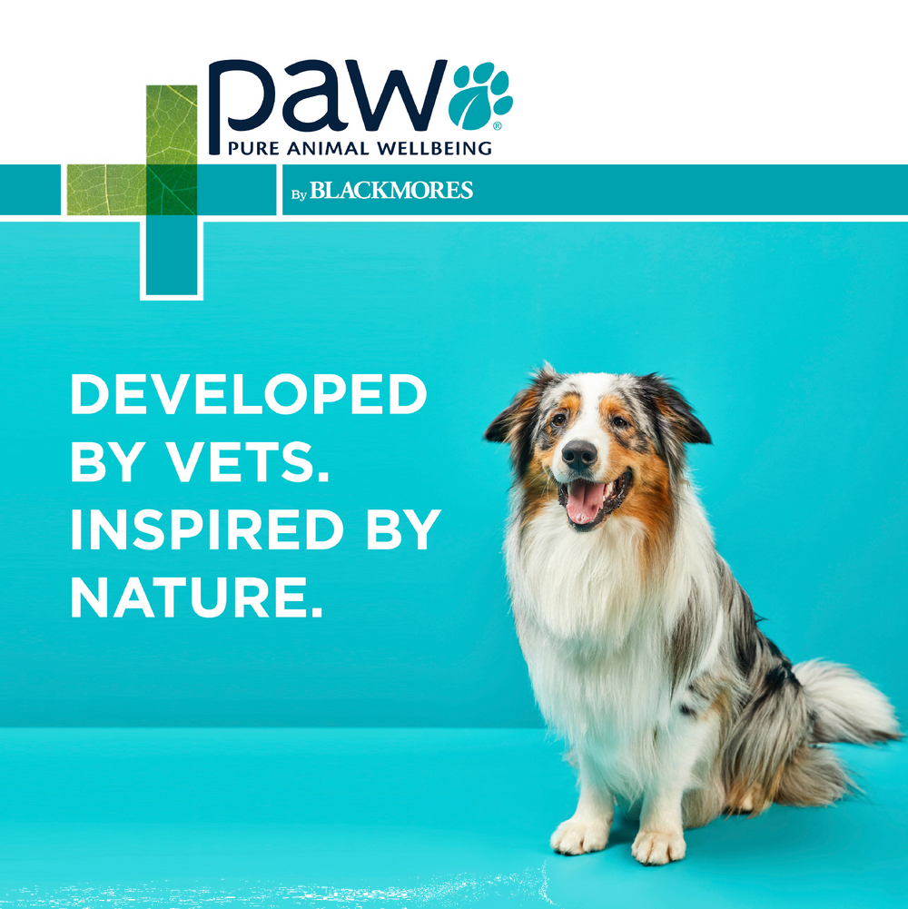 Paw Osteosupport Dogs 150pk