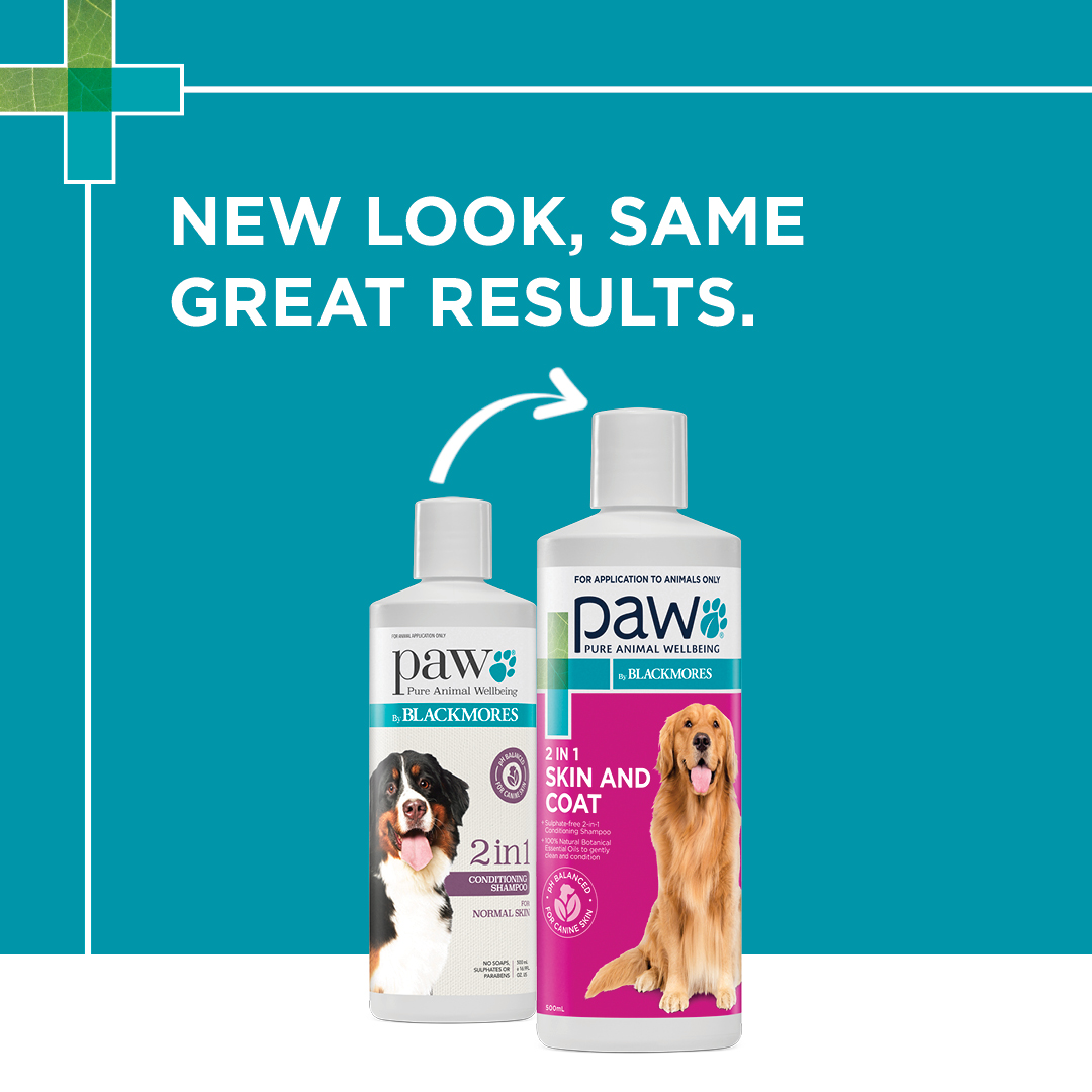 Paw Shampoo 2 In 1 Conditioning 500ml