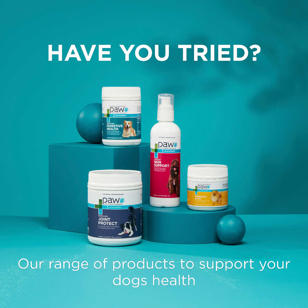 Paw Shampoo 2 In 1 Conditioning 500ml
