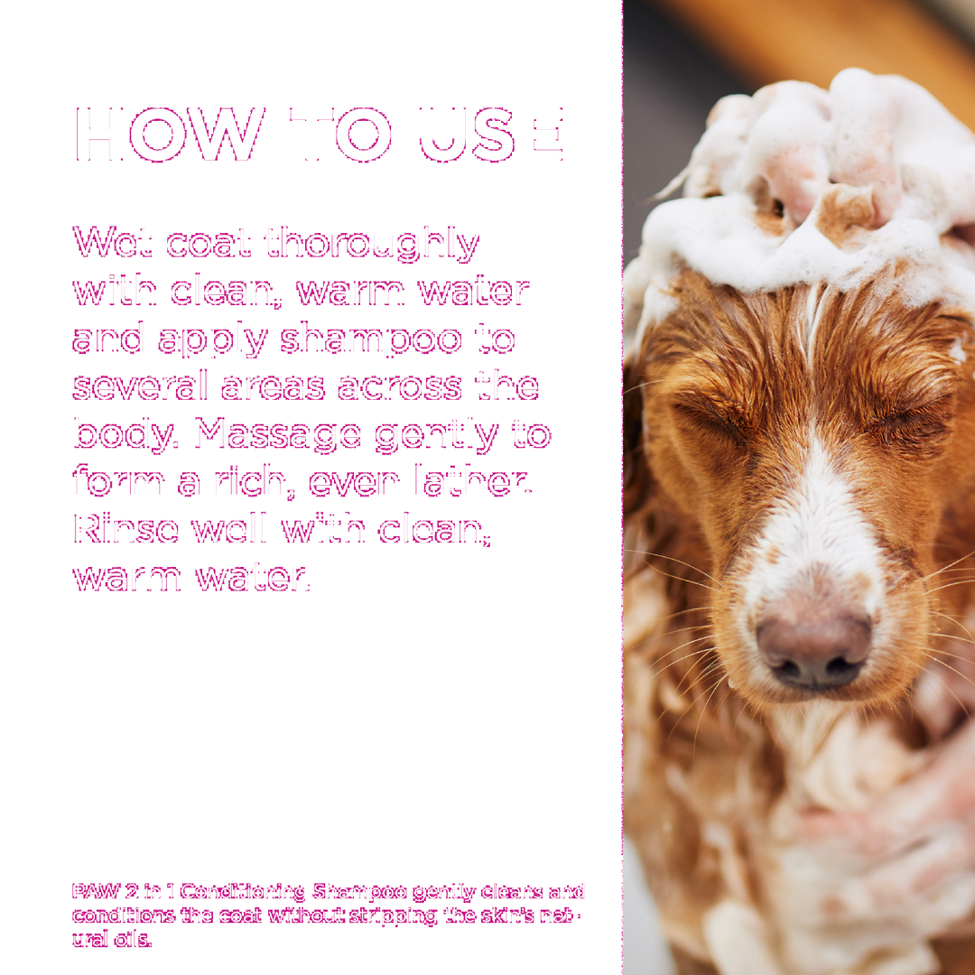 Paw Shampoo 2 In 1 Conditioning 500ml