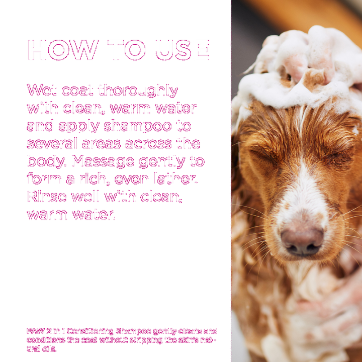 Paw Shampoo 2 In 1 Conditioning 500ml