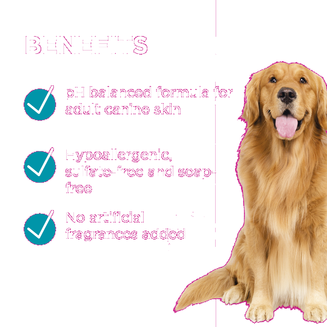 Paw Shampoo 2 In 1 Conditioning 500ml