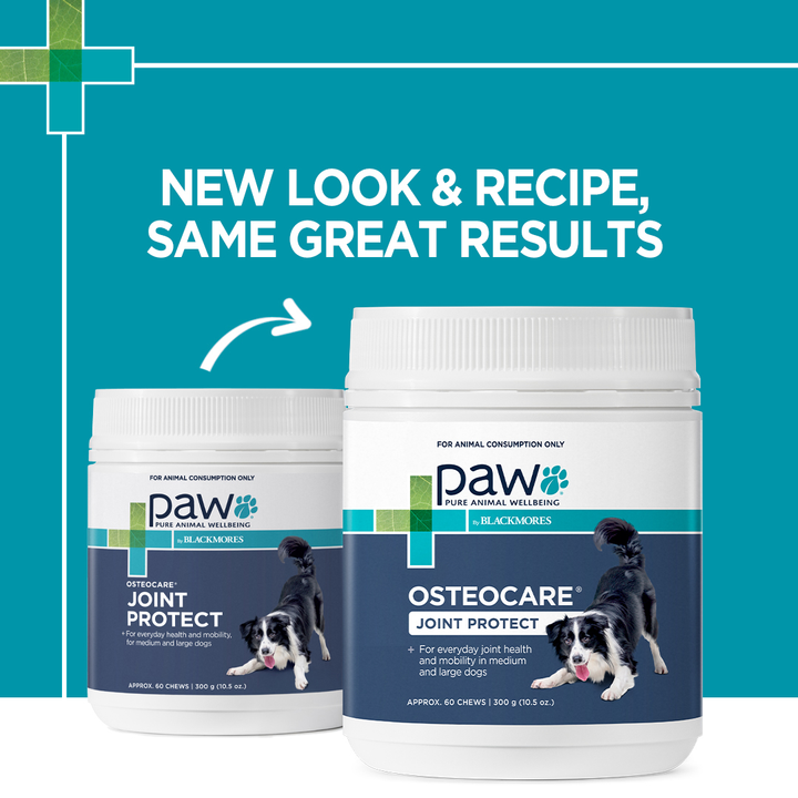 Paw Osteocare Dog Joint Health Chews 300g