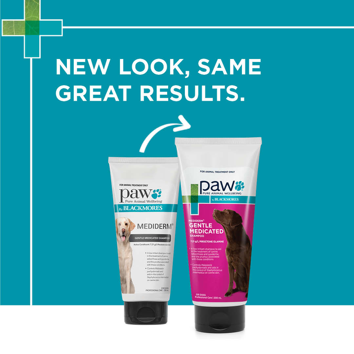 Paw Shampoo Mediderm 200ml