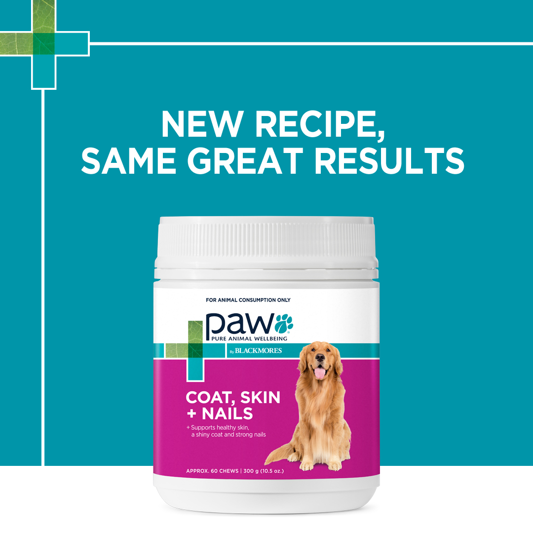 Paw Coat, Skin & Nails Chews 300g 