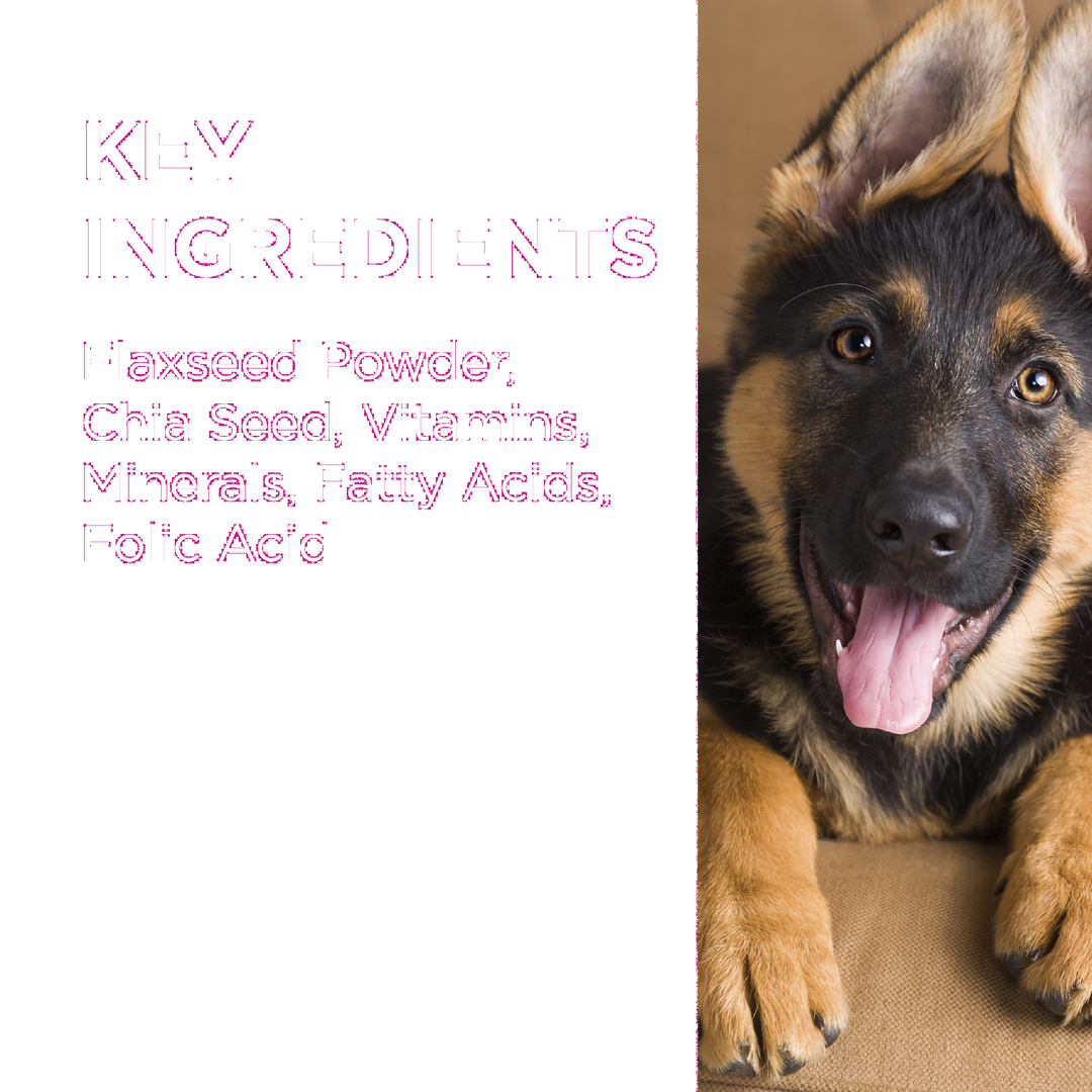 Paw Coat, Skin & Nails Chews 300g 